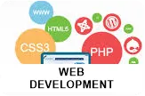 Best Web development Company